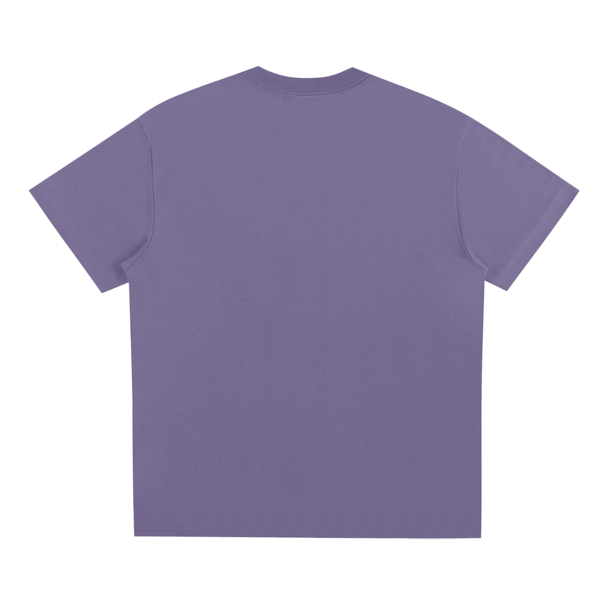 Chapter I — The Anomaly Graphic Tee in Misty Purple, back view